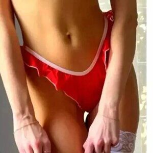 NWT $70 SET OF 2 HAH Fly Girl Mesh Panty Thong Red Pink Coquette Sheer LARGE